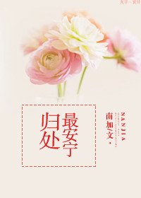 归处最安宁